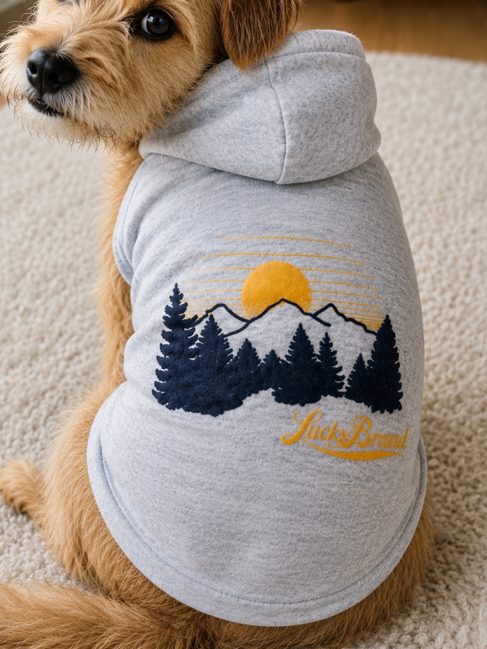 Lucky Brand Mountain Graphic Medium Dog Hoodie Gray
